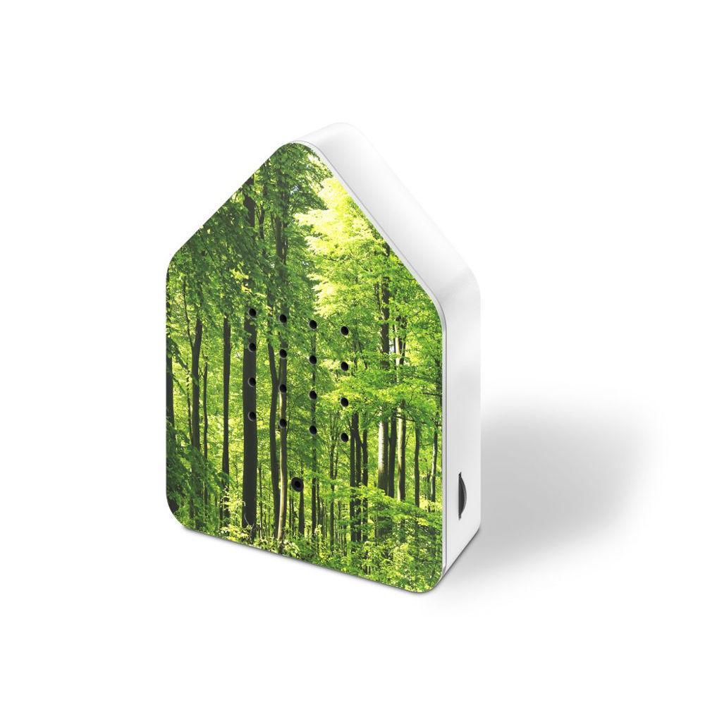 Zwitscherbox Forest