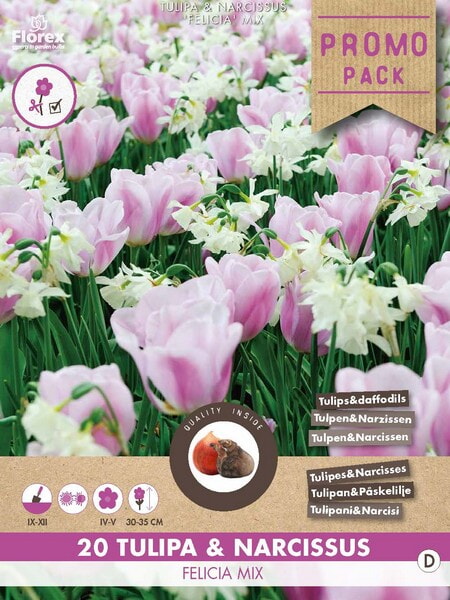 Bloembollen - Grootverpakking Felicia mix Tulp & Narcis 20st