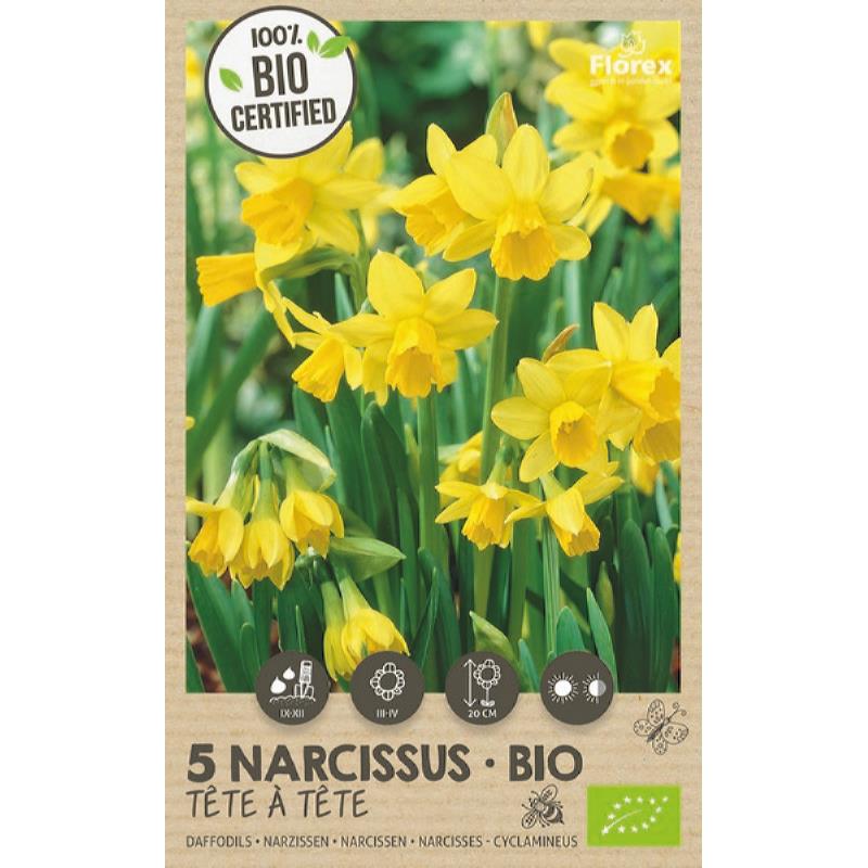 Bloembollen - Bio Botanische Narcis Tete á Tete 10/+ 5st