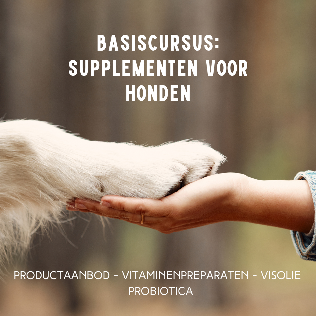 Basiscursus supplementen voor honden