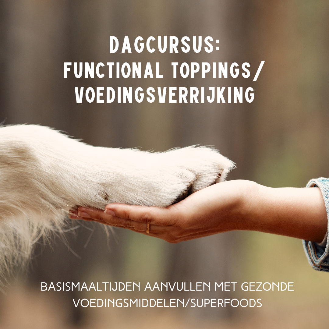 Dagcursus functional toppings